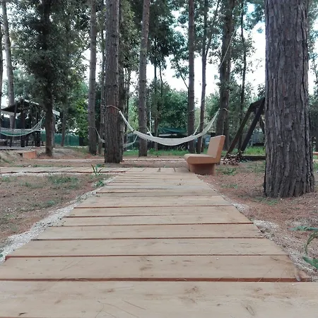 Bed and breakfast Biancopineta - Marina