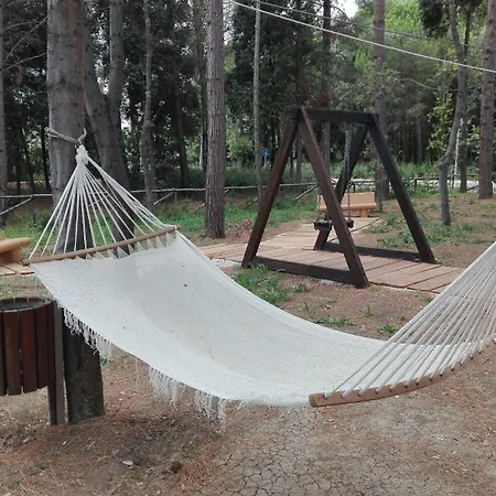 Bed and breakfast Biancopineta - Marina San Salvo