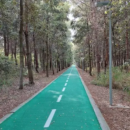 Bed and breakfast Biancopineta - Marina 4*