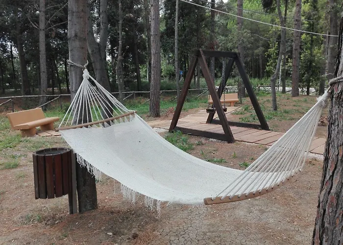 ベッド・アンド・ブレックファスト Biancopineta - Marina サン・サルヴォ